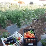 Kutija With Heated Pool * سفيتي فيليب ياكوف