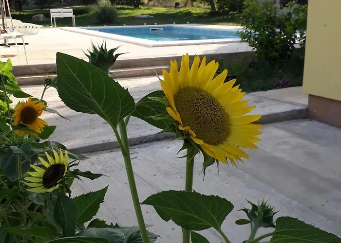 Kutija With Heated Pool شقة *