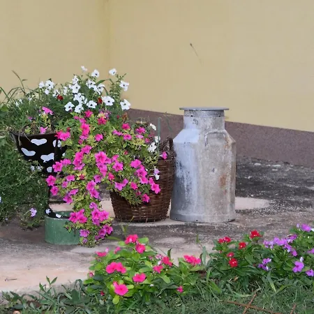 Kutija With Heated Pool *