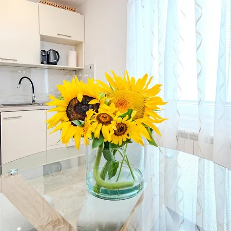 Apartamento Kutija With Heated Pool *